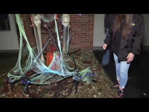 VIDEO: Giant skeleton is most sought-after Halloween decoration