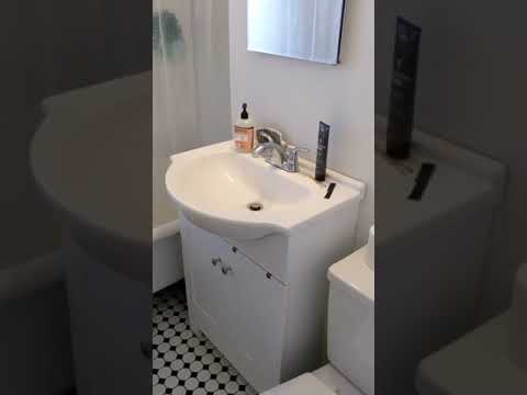 Nicely renovated 1 bed near the Green Line in Allston. property video