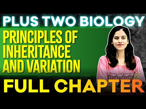 Plus Two Biology | Chapter 4 | Principles Of Inheritance | Oneshot | Exam Winner