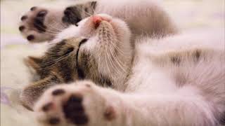 WALDO'S PEOPLE - I DREAM (EXTENDED MIX) EURO HOUSE 1998