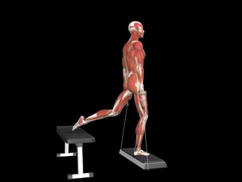 Split Squat - Single Leg (Cable)