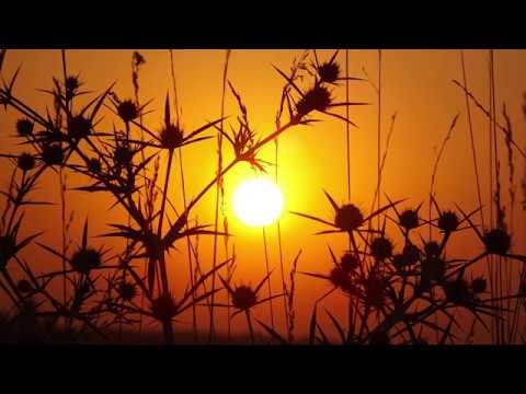 Dorin Cazacu - Golgota