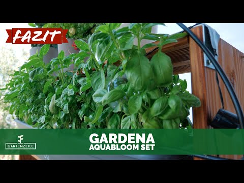 Fazit nach 3 Monaten: Gardena Solar-Bewässerung aquaBloom Set