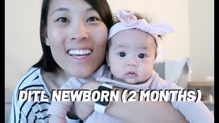 Day in the life of a newborn (2 months)