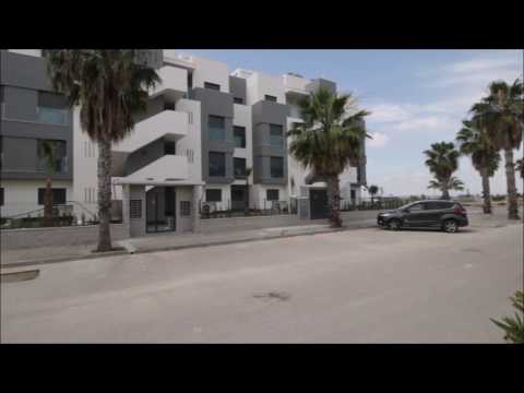 Video Oasis Beach XIII