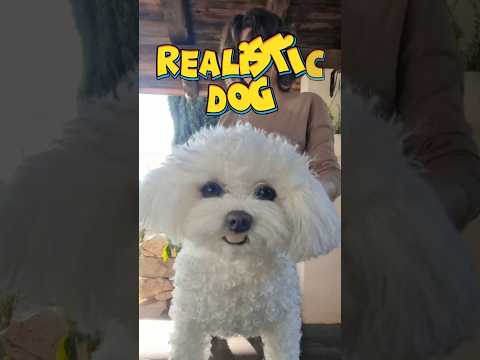 Meet the Realistic Robotic Dog! #dog #doglover #realisticdog