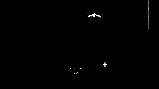 Arcade Game: Cane (1979 Model Racing)