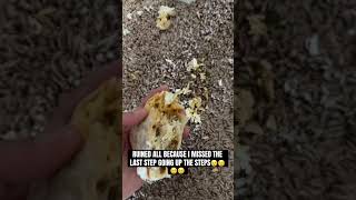 I’m so hurt #shorts #funnyvideos #funny 