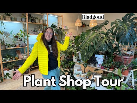 Plant Shop Tour: Bladgoud in Den Bosch | Plant with Roos