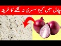 How to Get Rid of Rice Weevils - Chawal Se Susri Khatam Karne Ka Tarika