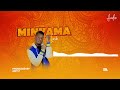 Imuh Minyama Punguza Raha Official Audio