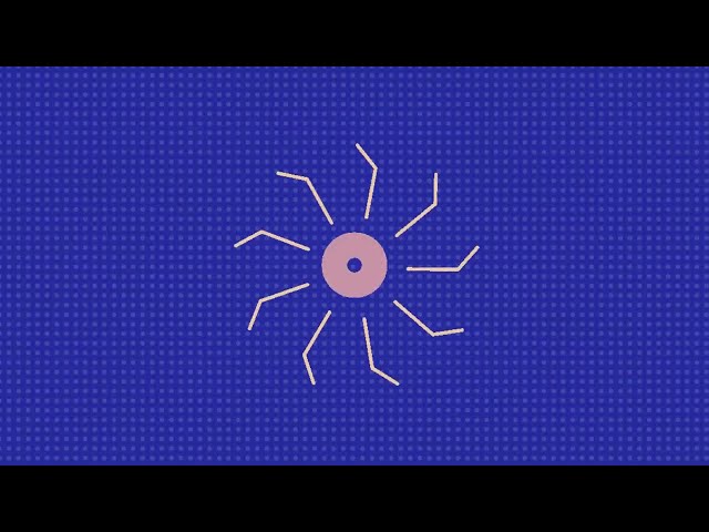 imagem ilustrativa da atividade