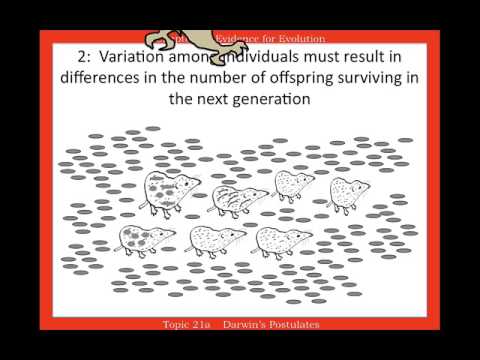 20d   Population Genetics - Darwin's Postulates
