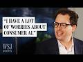 Anthropic CEO on Safety, Job Displacement and Anthropic's $350B Valuation | WSJ