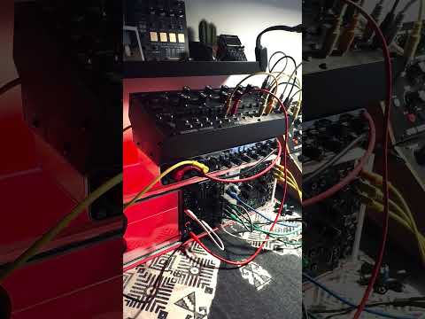 Moog Spectravox Semi-Modular Analog Spectral Processor 2024 - Present - Black with Wood Sides image 5