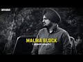 Malwa Block (slowed reverb) - Sidhu Mooswala || New Punjabi Song 2024   #moosetape