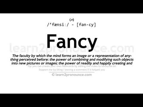Pronunciation of Fancy | Definition of Fancy