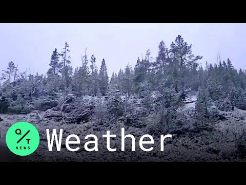 'Freak' Labor Day Snowstorm in Wyoming Blankets Yellowstone National Park
