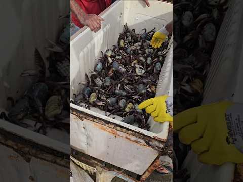 Tutoia-MA litoral muito rico passamos por está cidade e registramos.