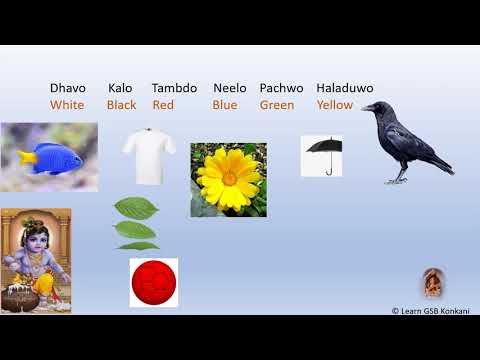 Learn #Konkani (Level I Lesson 3)