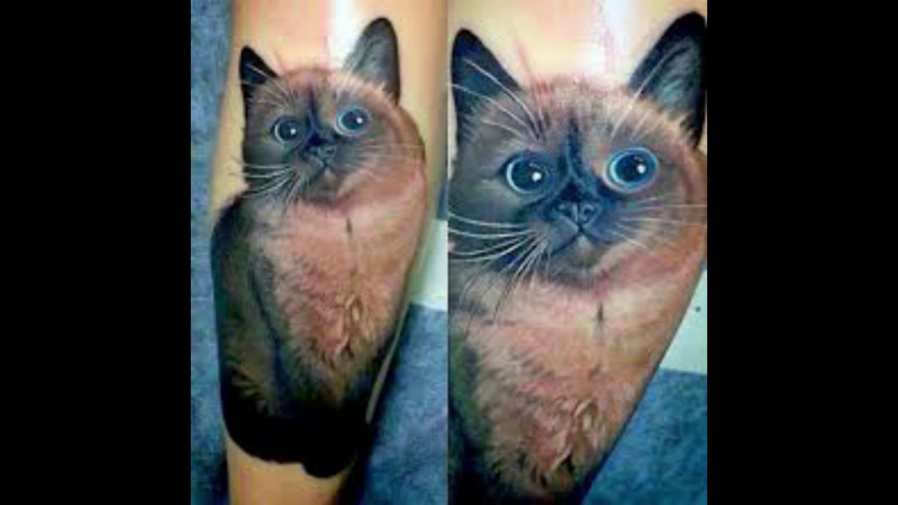 50 Cats Tattoo Designs & Ideas