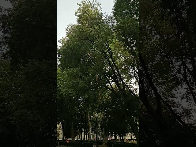 Dimora storica con vista sulla Sinagoga