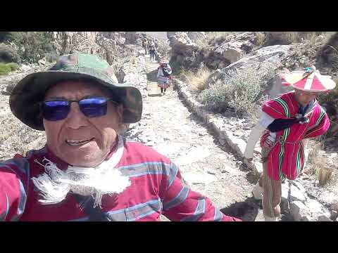 Papá viajero rumbo a las cataratas de panahua prov. Castilla areq. Perú 2026.