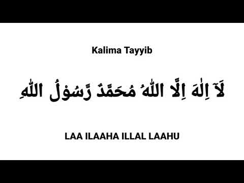 Kalima Tayyib in Arabic Text With English Transliteration By Saad Al Qureshi Kalima Series