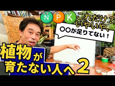 タンポポ…好きなだけ!