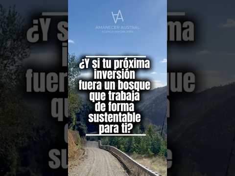 🌳 88 Hectáreas Productivas en Los Muermos | Bosque Nativo + Plan de Manejo + Río 💰