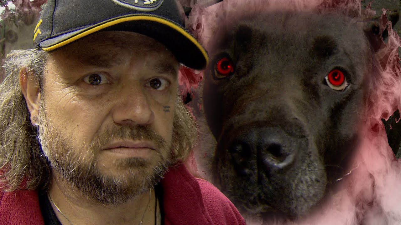 MEU CANE CORSO COM RAIVA?! | RICHARD RASMUSSEN