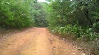 preview picture of video 'The roads are GREAT in French Guyana... or not.'