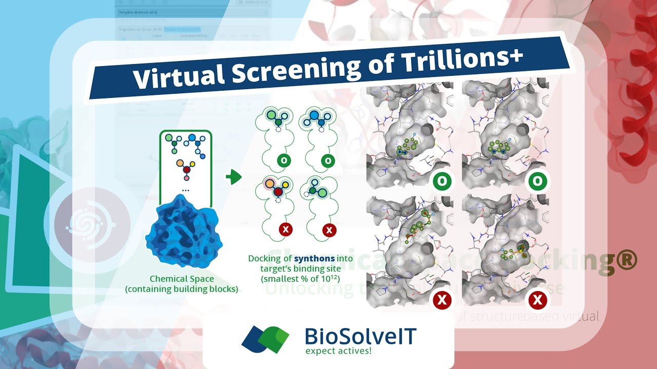Next Generation of Virtual Screening: Chemical Space Docking®