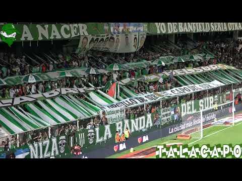 "La Banda quiere que Banfield ponga Huevo....F08 Vs Aldosivi" Barra: La Banda del Sur &bull; Club: Banfield &bull; País: Argentina