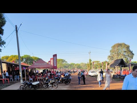 así se divierten los de MAGDALENA