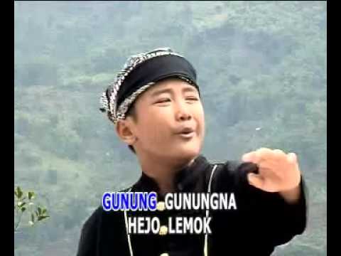 Rafly Novyj Trend Smotret Onlajn Na Sajte Trendovi Ru