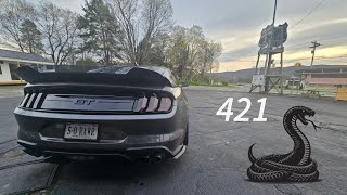 Why You Should Buy a 2015-2020 Mustang GT