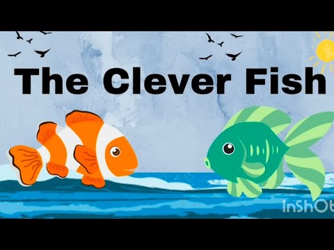 The clever fish|The one minute story|Storykid 