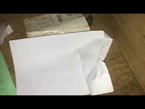 Serious Bed Bug Infestation in Bradley Beach,  NJ