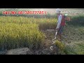 Mesin Potong Rumput Panen Padi Tudung Padi