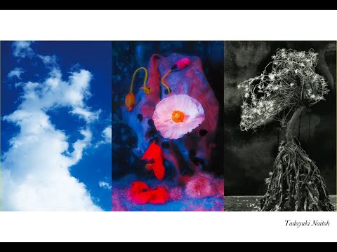 内藤忠行写真展「写真の行方」作品解説