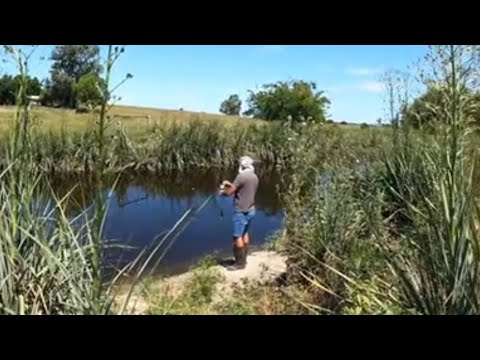 PESCA TARARIRAS ARROYO DE LOS NEGROS TAJAMAR PRIVADO FLORIDA RUTA 42  ( ep 120 )