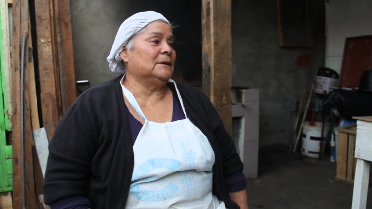 DOCUMENTAL: "Techo y poder popular. La experiencia de la Toma 26 de Enero"