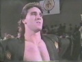 Pro Wrestling