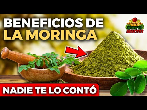 Benefits of Moringa 🌿 What is Moringa used for and How to Consume it