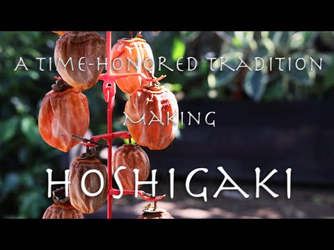 A time-honored tradition making hoshigaki. (Dried Persimmons)