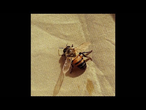 [FREE] Indie Rock x Alternative Type Beat - "Remember When"