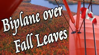 🛩️ 1940 Biplane flight over Fall Splendour 🍂