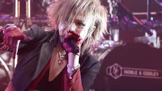 the GazettE - Vortex [polish subs / polskie napisy pl]