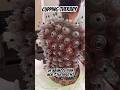 Cupping Therapy Cupping Cuppingtherapy Hijama Hijamatherapy Hijamaguy